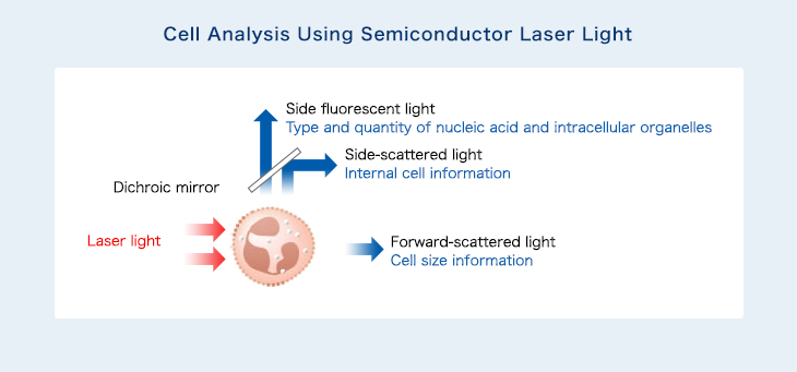 半導体レーザー光による細胞の解析