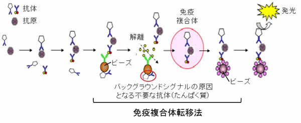 ニュース