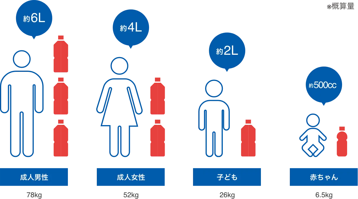 成人男性(78kg)の血液は約6L 成人女性(52kg)の血液は約4L 子ども(26kg)の血液は約2L 赤ちゃん(6.5kg)の血液は約500cc ※概算量