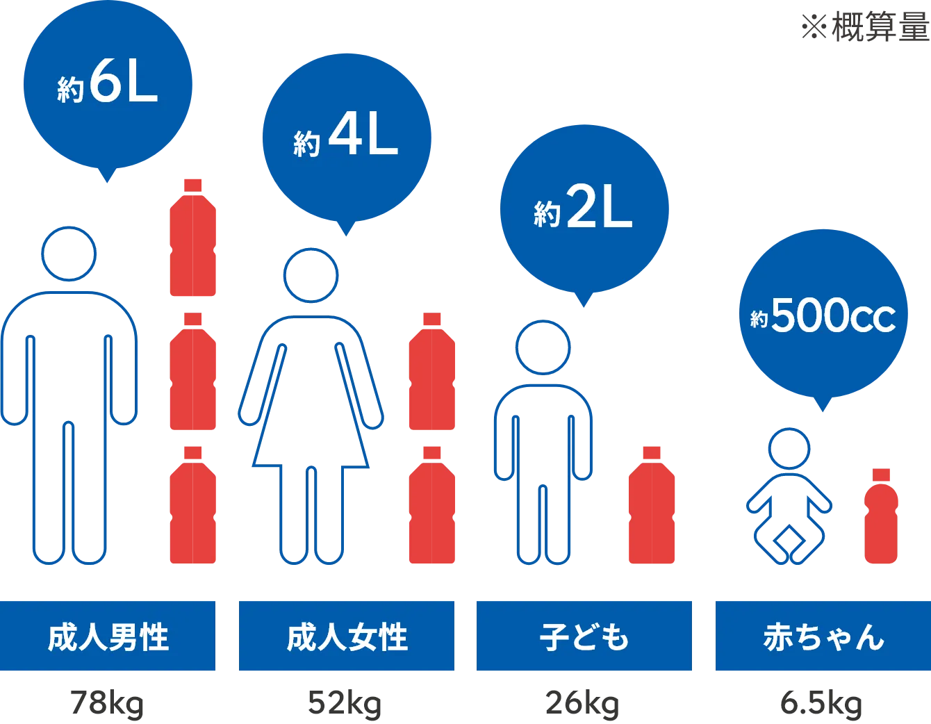 成人男性(78kg)の血液は約6L 成人女性(52kg)の血液は約4L 子ども(26kg)の血液は約2L 赤ちゃん(6.5kg)の血液は約500cc ※概算量