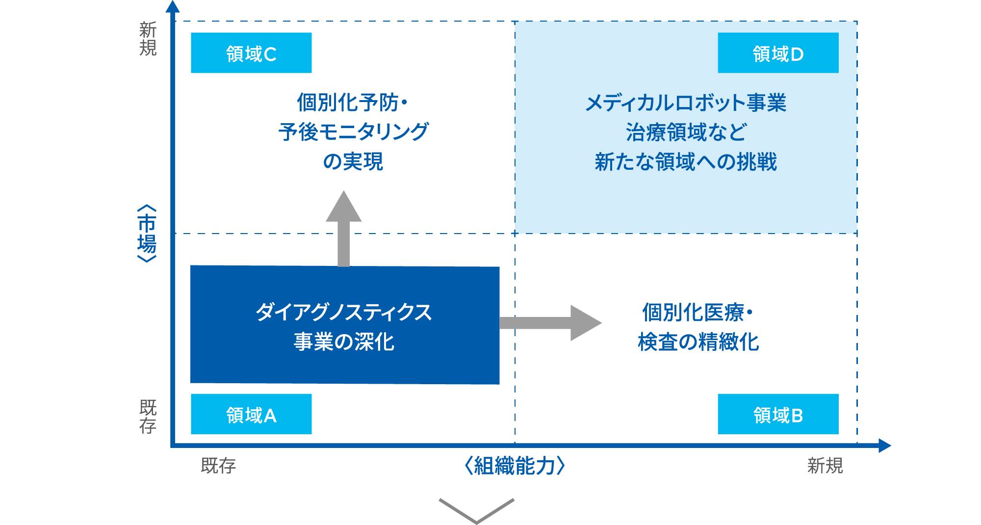 事業領域