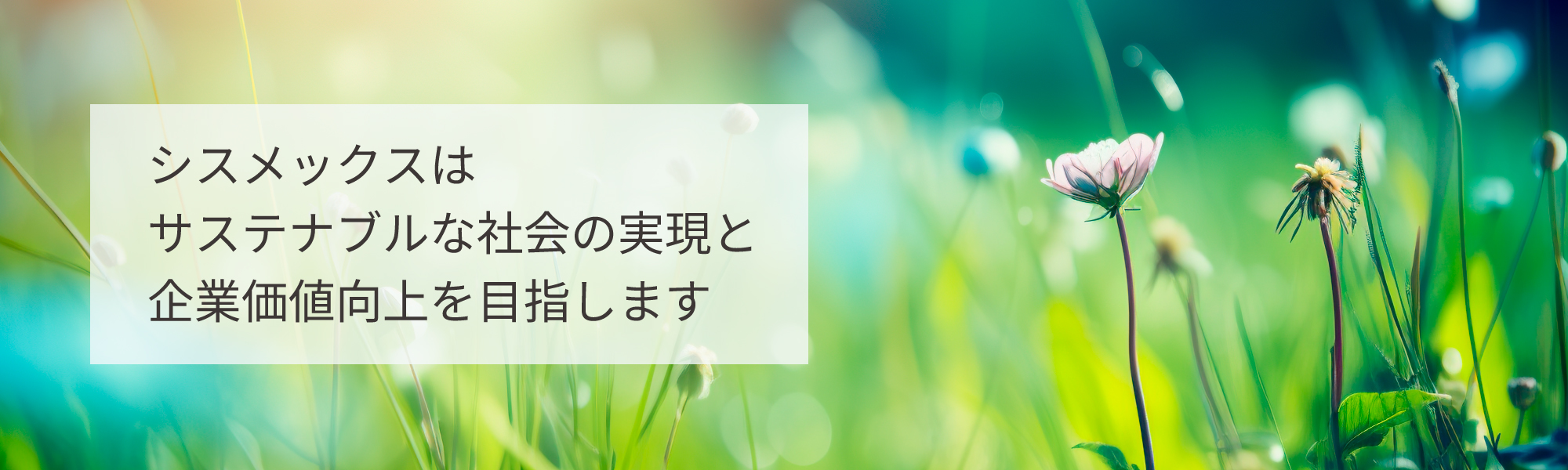 シスメックスはサステナブルな社会の実現と企業価値向上を目指します