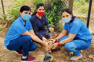 Tree planting (Sysmex India)