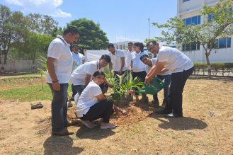 Tree planting activities (India)