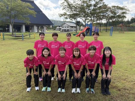 Internal Awareness Activities (Japan)