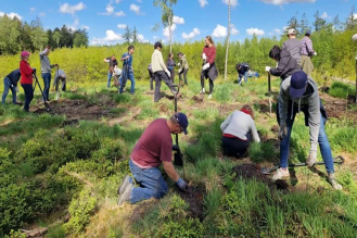 Tree planting activity (Germany)