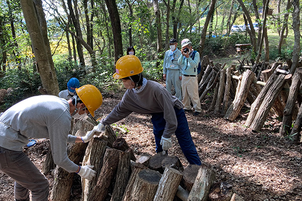 Sysmex Forest (forest maintenance activities in Japan)