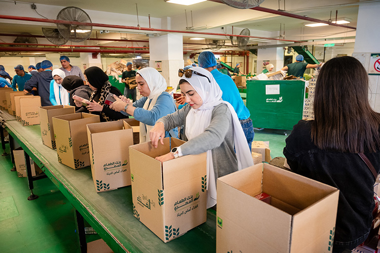 Helping a food bank (Egypt)