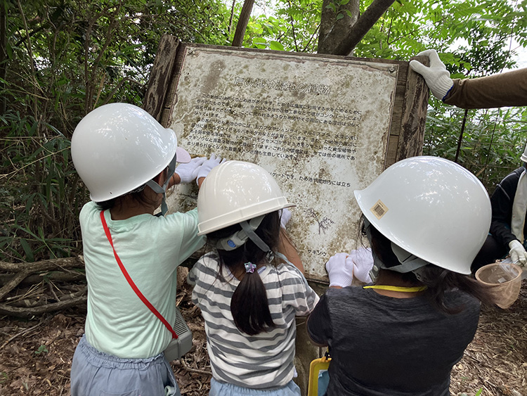 Sysmex Forest (forest maintenance activities in Japan)