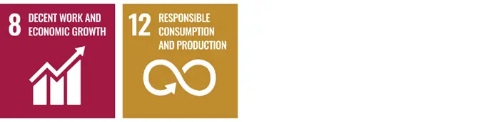 8 Decent Work and Economic Growth 12 Responsible Consumption and Production