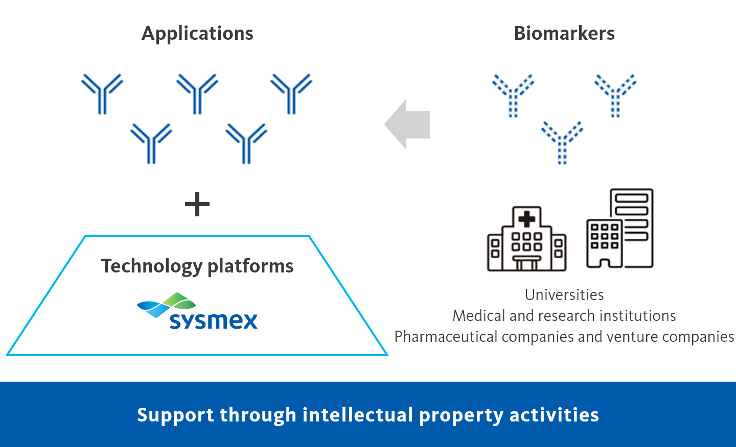 Support through intellectual property activities