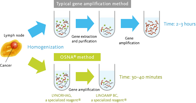 Typical gene amplification method