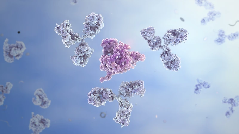 Contributing to the Improvement of Medical Care and Human Health Through the Development of Protein Measurement Technology