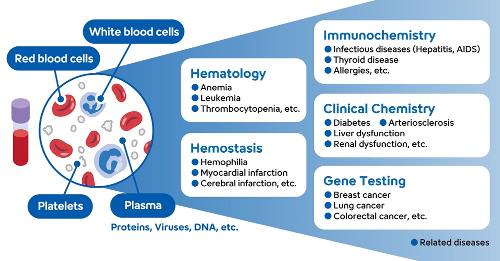 Types of blood tests and the diseases they reveal