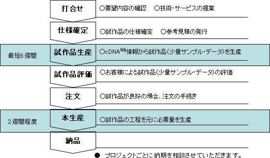 タンパク質生産サービスの流れ