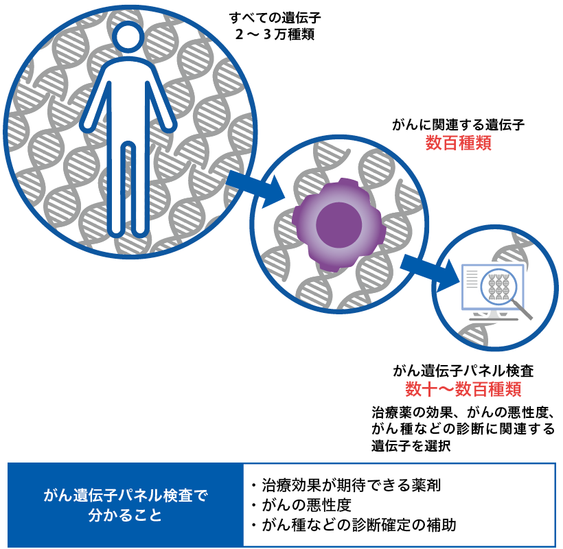 検査対象となる遺伝子