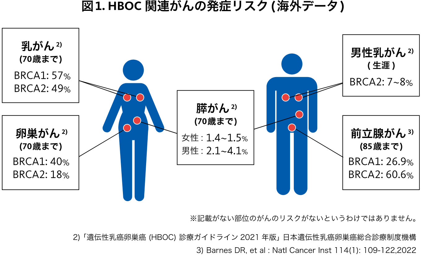 遺伝性乳がん卵巣がん症候群（HBOC）の例