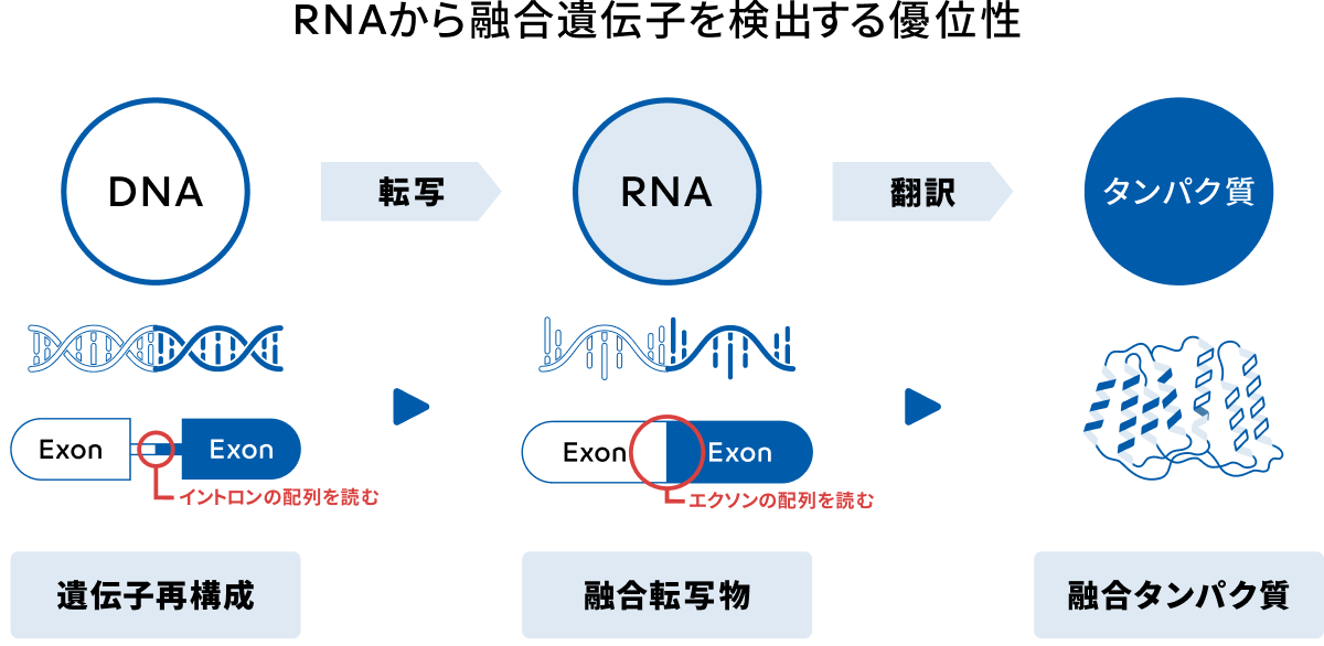 RNAから融合遺伝子を検出する優位性