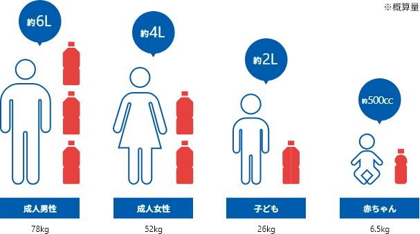体内の血液量（概算量）の図 成人男性（78kg）は約6リットル、成人女性（52kg）は約4リットル、子ども（26kg）は約2リットル、赤ちゃん（6.5kg）は約500ccを血液が占めている