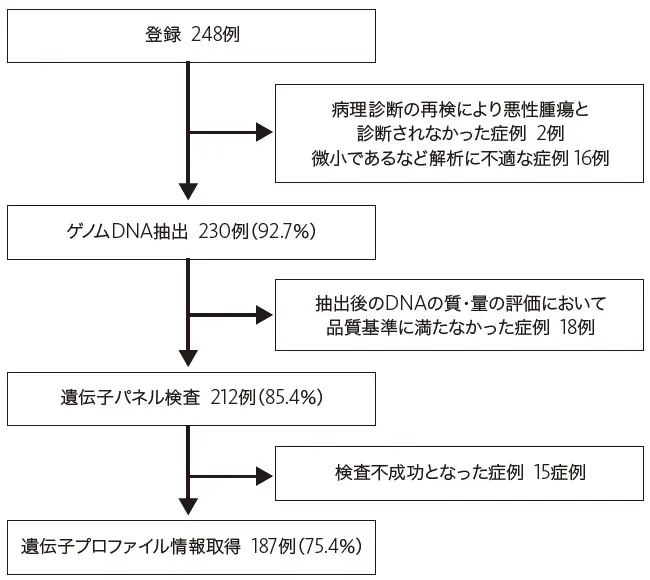 登録患者および解析状況の図