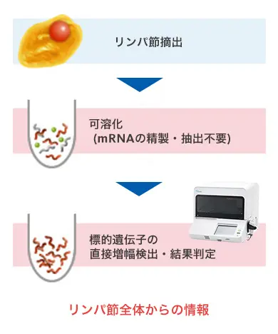 現行法による検査の場合OSNA®法(直接遺伝子増幅法)