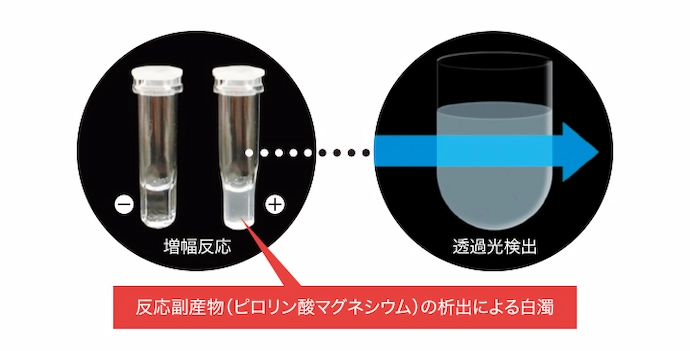 リアルタイム濁度検出