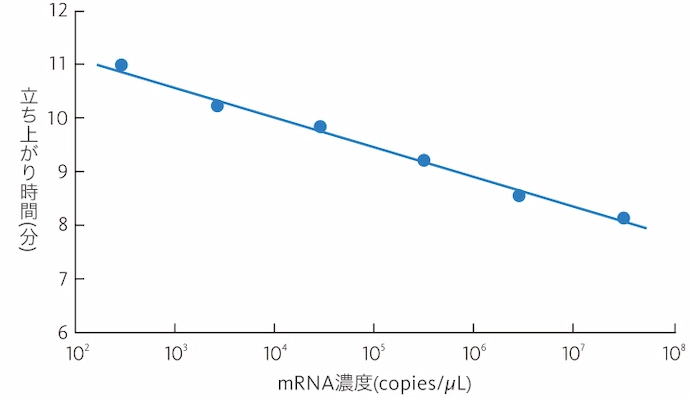 「立ち上がり時間」とmRNA濃度の関係