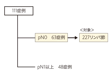 非小細胞肺がんリンパ節転移検査に関するデータ2
