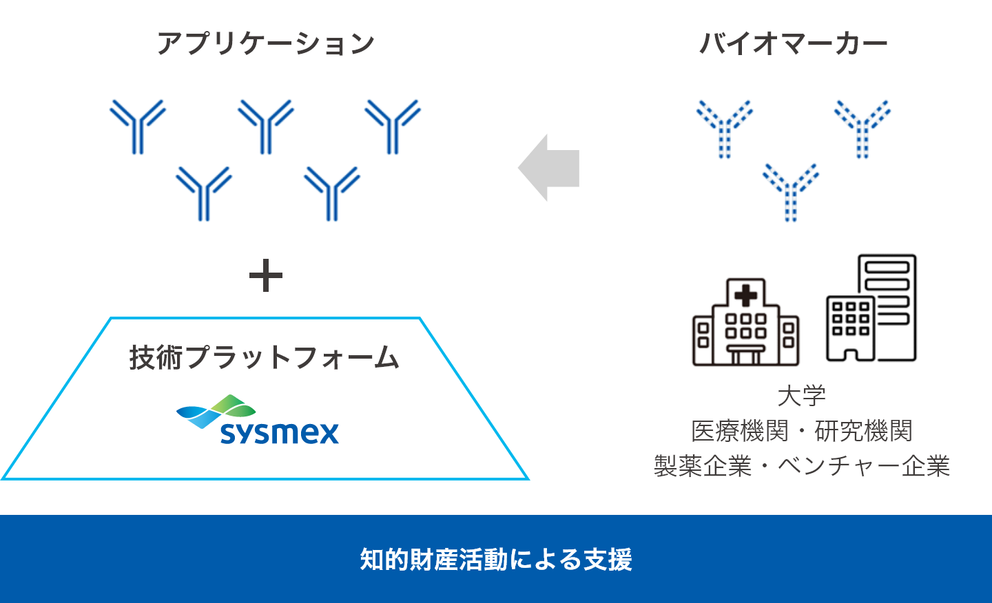 知的財産活動による支援