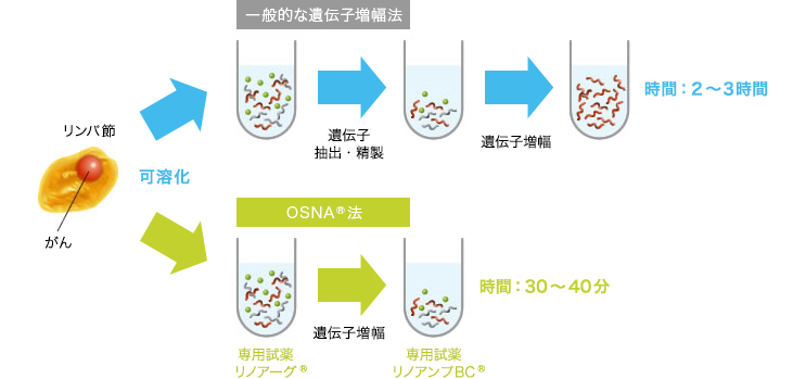 一般的な遺伝子増幅とOSNA法の違い