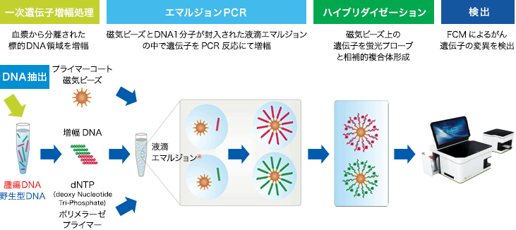 BEAMing法流れ図