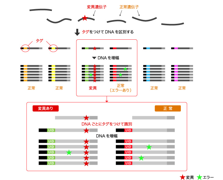 Plasma-Safe-SeqS技術の原理