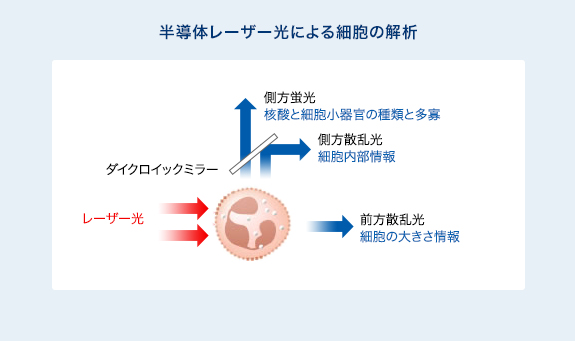 半導体レーザー光による細胞の解析