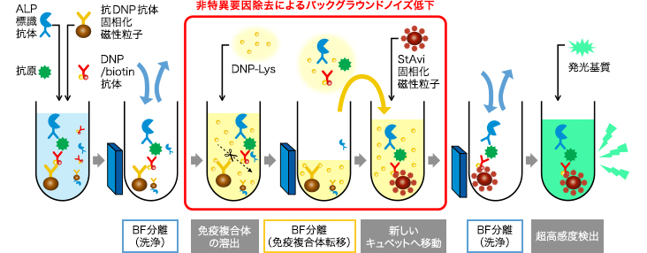 超高感度HISCLの原理の表