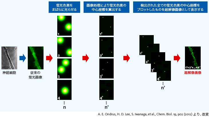 超解像観察の原理