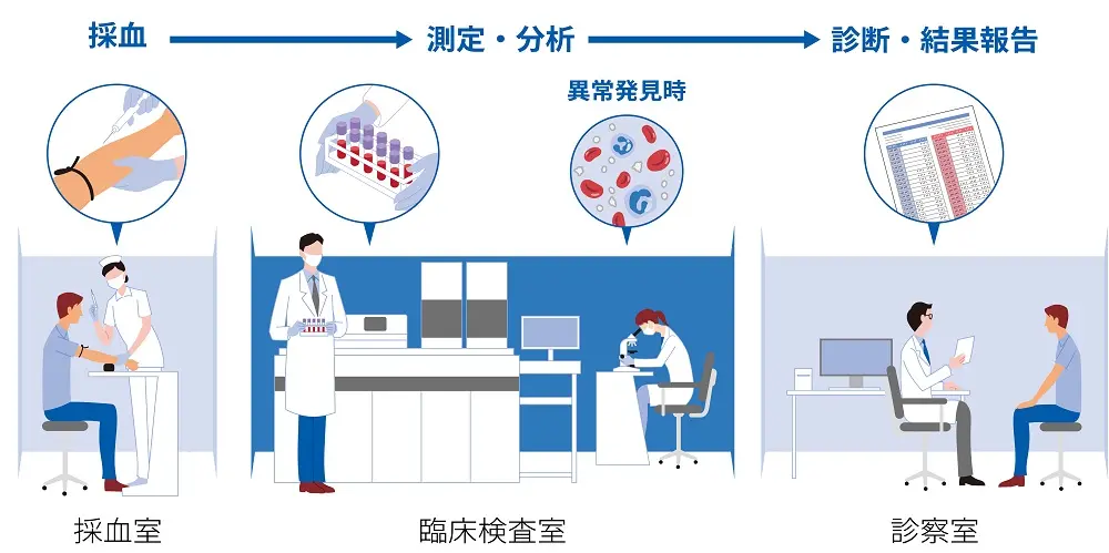 血液検査の流れ