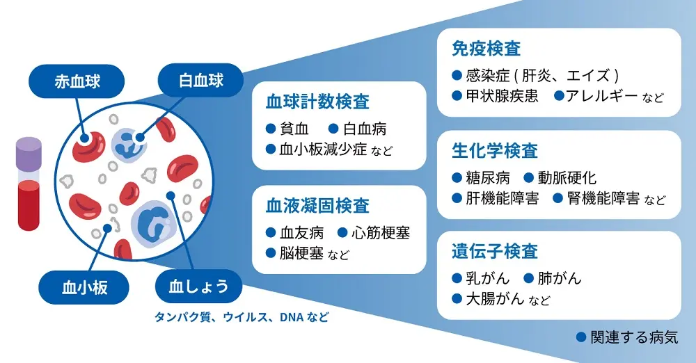 血液検査の種類と分かる病気